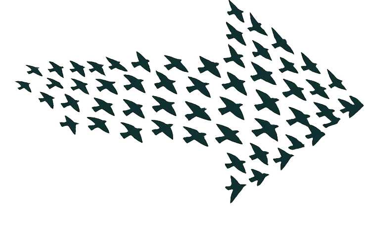 COMPASS ID logo